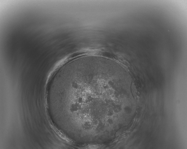 X0000068300149200604281718