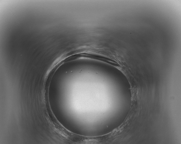 X0000068300150200604281718