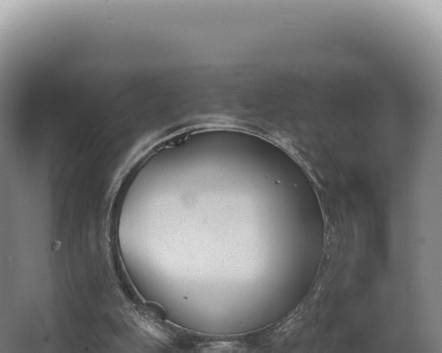 X0000068300151200604281718