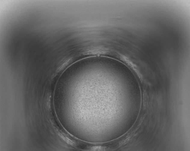 X0000068300153200604281718