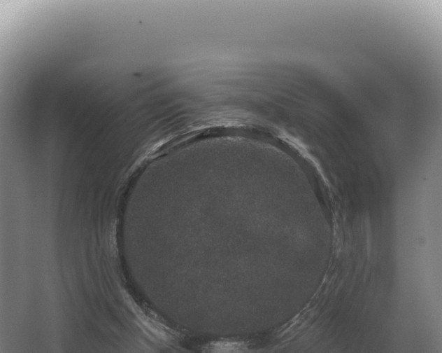 X0000068300154200604281718