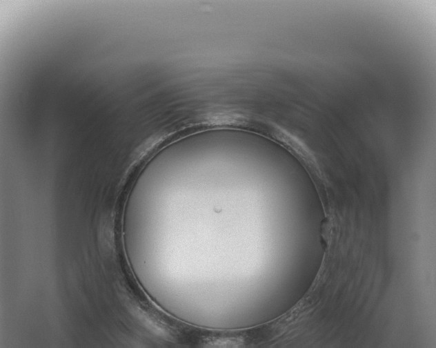 X0000068300155200604281718