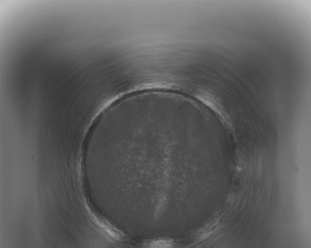 X0000068300156200604281718