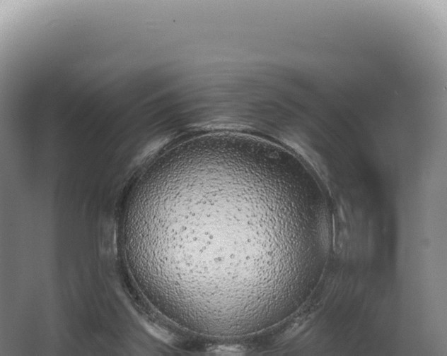 X0000068300157200604281718