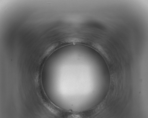 X0000068300159200604281718