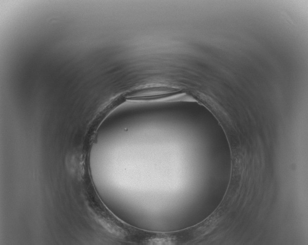 X0000068300160200604281718