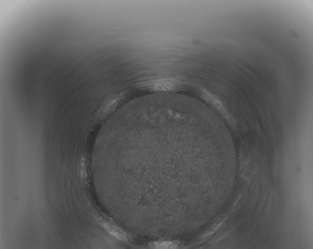 X0000068300161200604281718