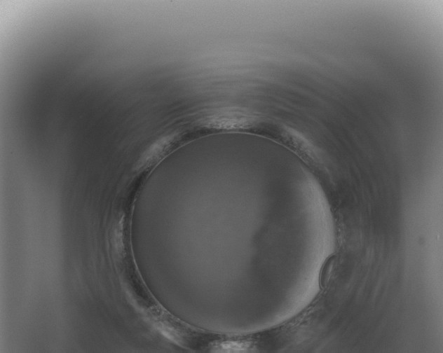 X0000068300163200604281719