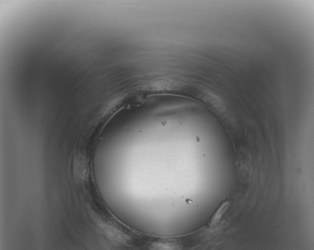 X0000068300164200604281719