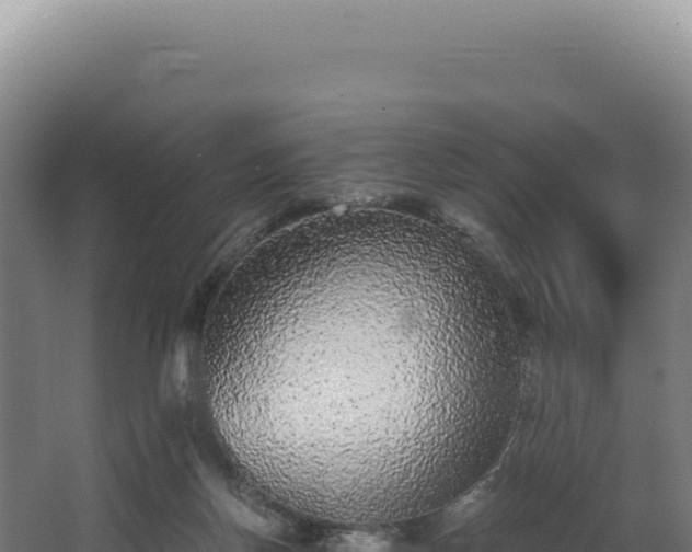 X0000068300166200604281719