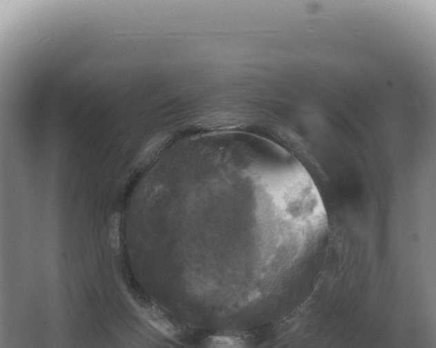 X0000068300167200604281719