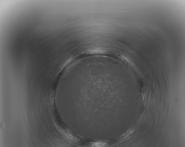 X0000068300168200604281719