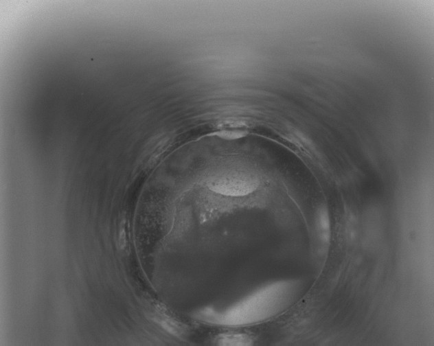 X0000068300169200604281719