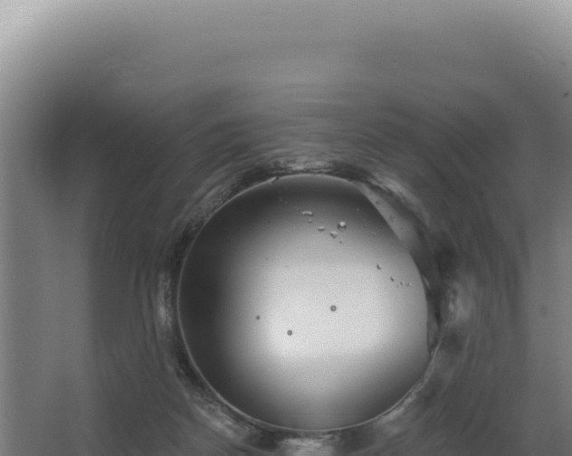 X0000068300170200604281719