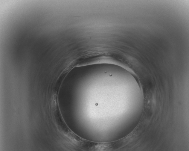 X0000068300172200604281719