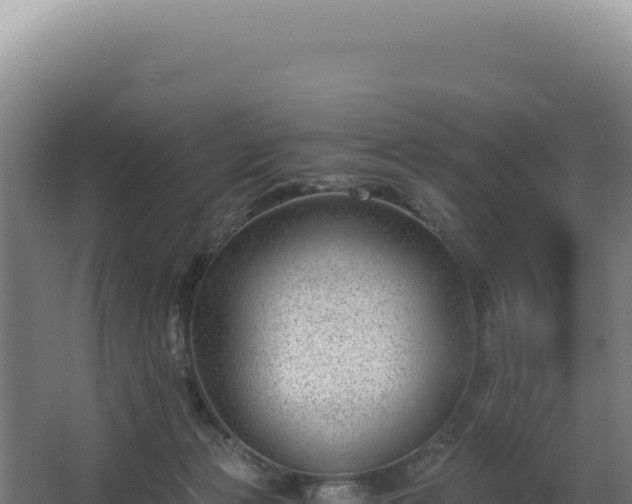 X0000068300173200604281719