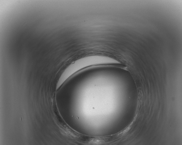 X0000068300174200604281719