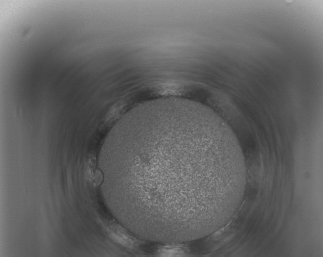 X0000068300175200604281719