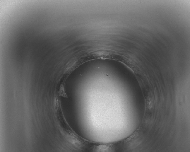 X0000068300176200604281719