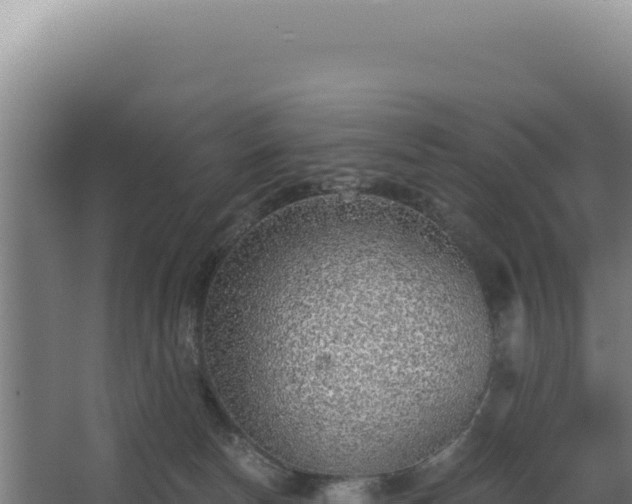 X0000068300178200604281719