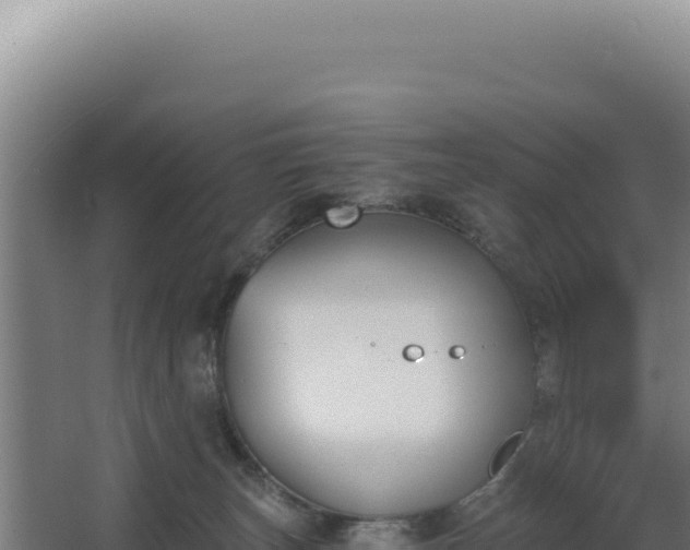 X0000068300179200604281719