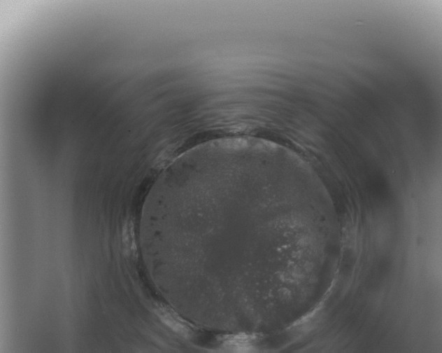 X0000068300182200604281719