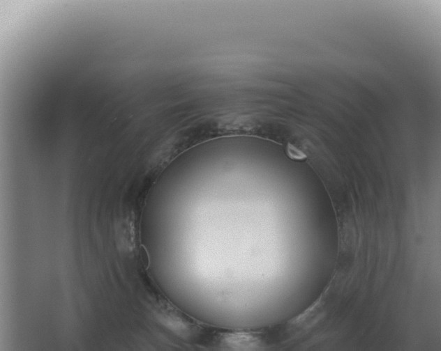 X0000068300183200604281719