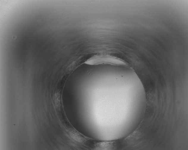 X0000068300184200604281719