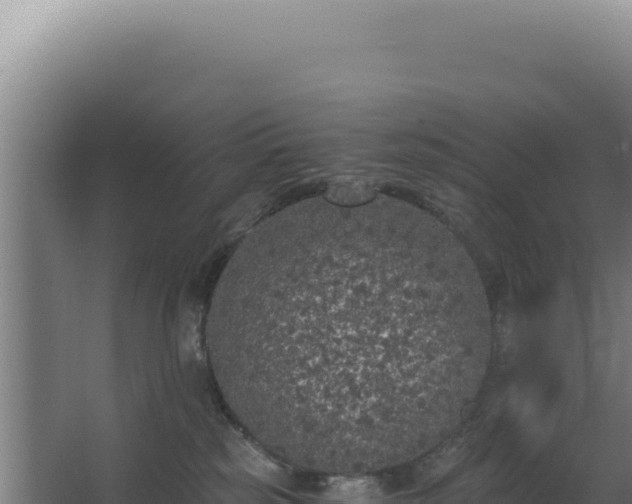 X0000068300185200604281719