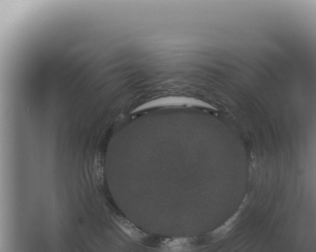 X0000068300186200604281719