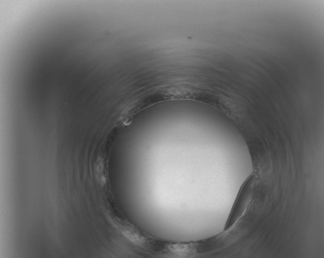 X0000068300187200604281719