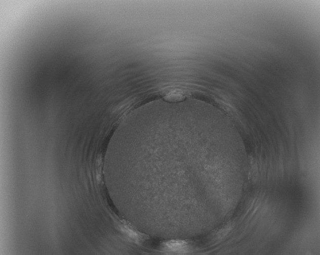 X0000068300189200604281719