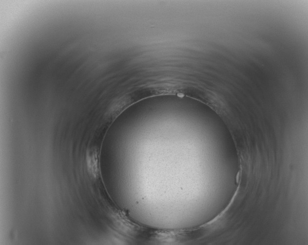 X0000068300190200604281719