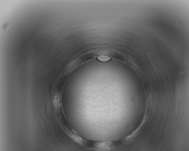 X0000068300191200604281719