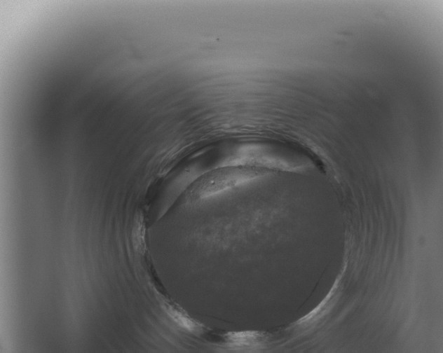 X0000068300192200604281719