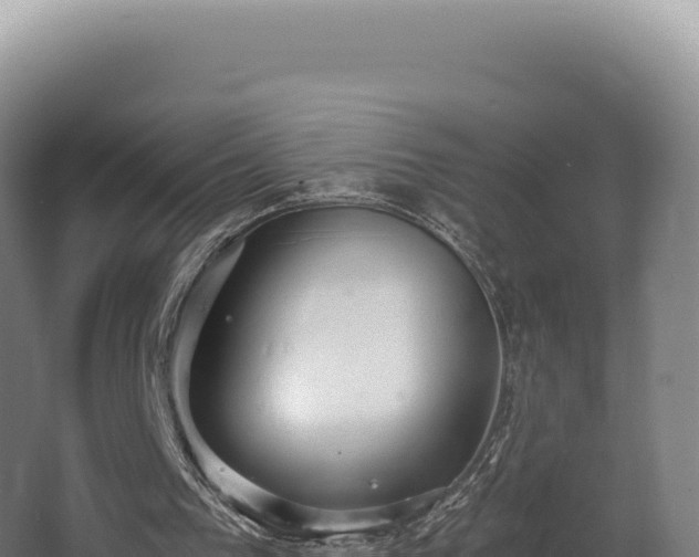 X0000068300193200604281718