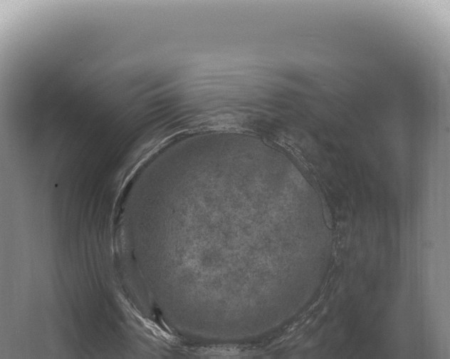 X0000068300194200604281718