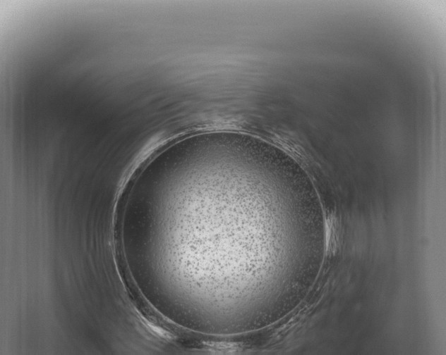 X0000068300195200604281718