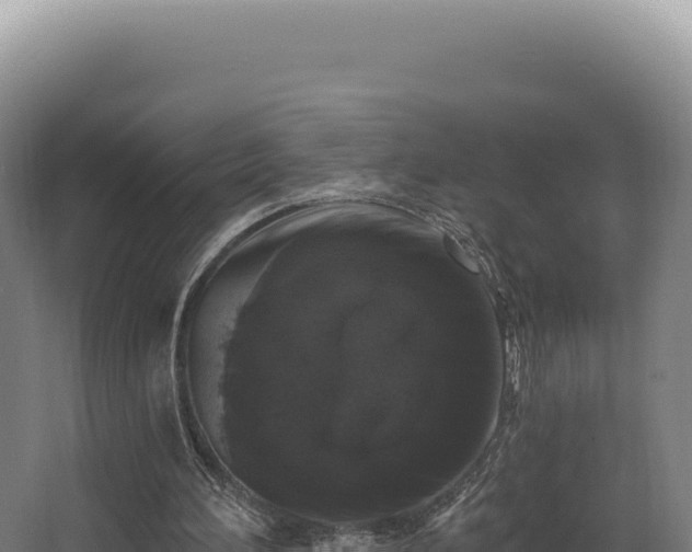 X0000068300196200604281718