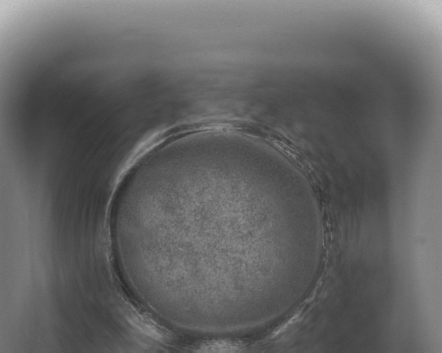 X0000068300198200604281718