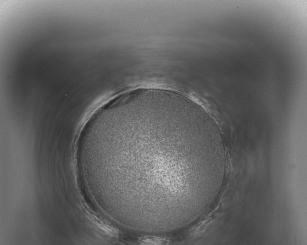 X0000068300199200604281718