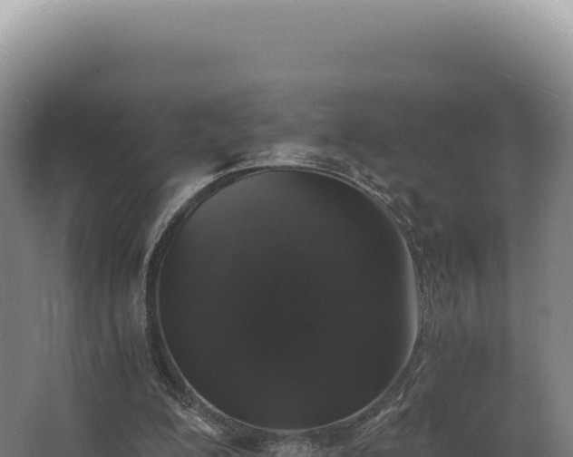 X0000068300200200604281718