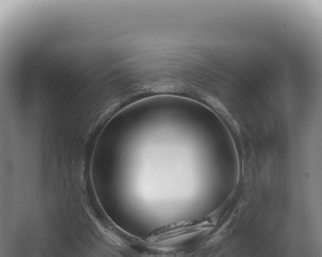 X0000068300201200604281718