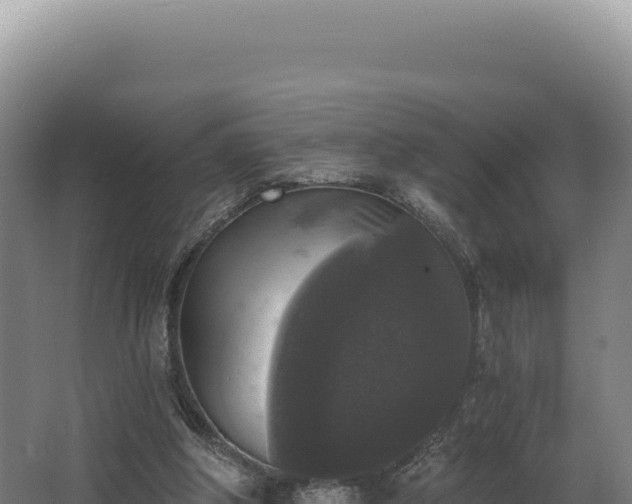 X0000068300202200604281718