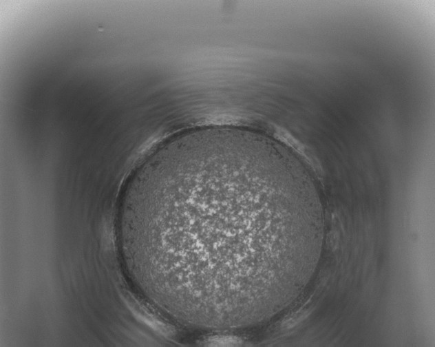 X0000068300203200604281718