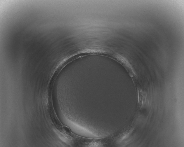 X0000068300204200604281718