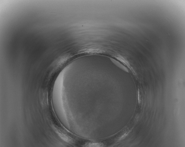 X0000068300205200604281718