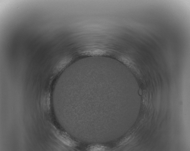 X0000068300206200604281718