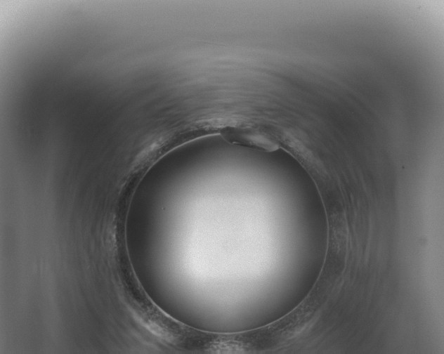 X0000068300207200604281718