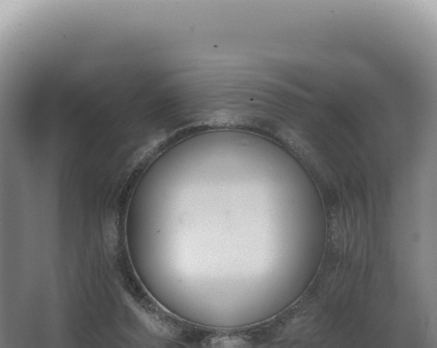 X0000068300208200604281718